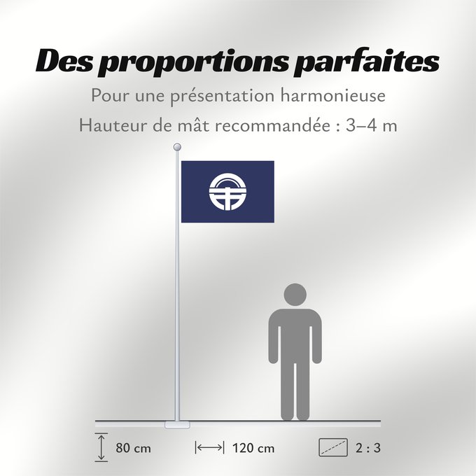 Proportions du drapeau : Tokusima [Tokushima]