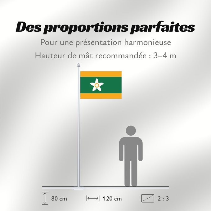 Proportions du drapeau : Ehime Prefecture Préfecture d'Ehime prefectura de Ehime Präfektur Ehime 愛媛県の旗 에히메기 / 愛媛縣旗 愛媛縣旗