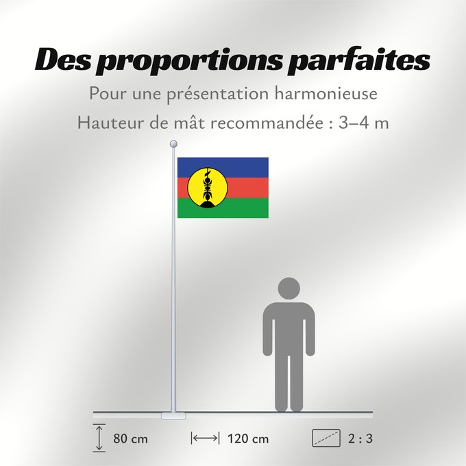 Proportions du drapeau : FLNKS	Kanak and Socialist National Liberation Front political party	Front de libération nationale kanak et socialiste	Colores Pantone http //www	Neukaledonien	Nuova Caledonia	Front d Alliberament Nacional Canac Socialista