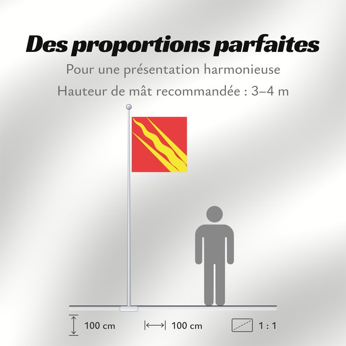 Proportions du drapeau : Østfold	County of Østfold, Norway	comté d’Østfold