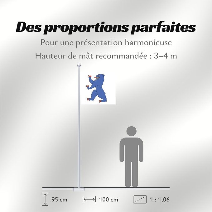 Proportions du drapeau : Buskerud	County of Buskerud, Norway	comté de Buskerud