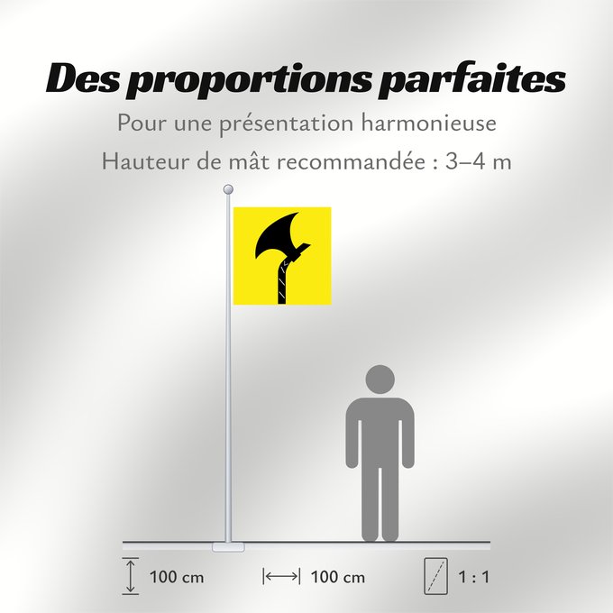 Proportions du drapeau : Telemark