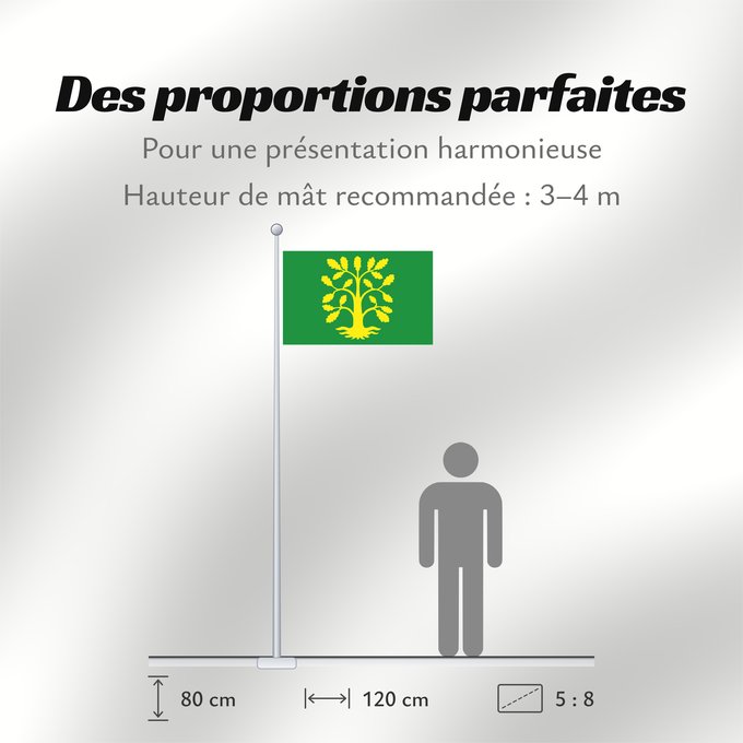 Proportions du drapeau : Vest-Agder	comté de Vest-Agder	Vest-Agder Fylke