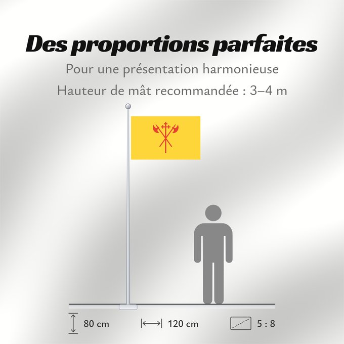 Proportions du drapeau : Sør-Trøndelag	Sør-Trøndelag County, Norway	comté de Sør-Trøndelag