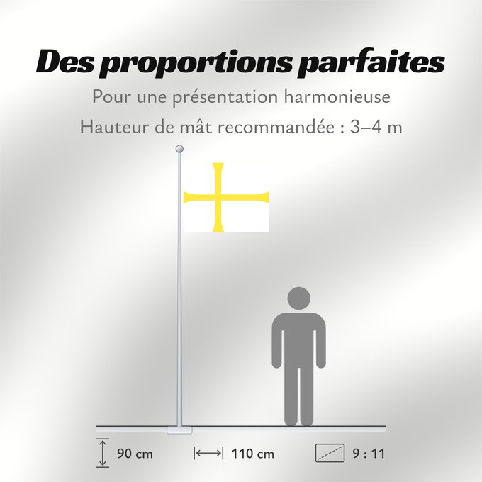 Proportions du drapeau : Nord-Trøndelag	Nord-Trøndelag County, Norway	comté de Nord-Trøndelag