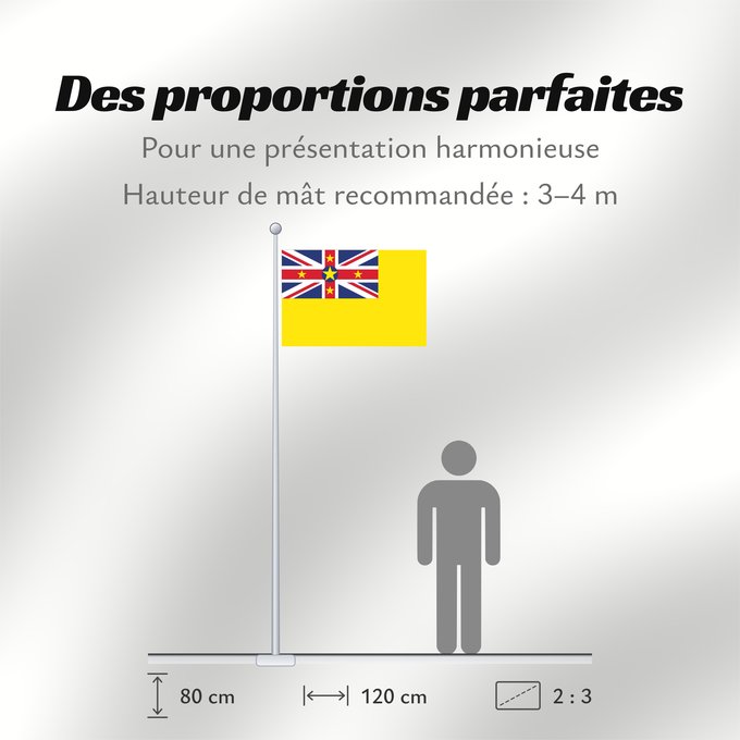 Proportions du drapeau : Niue	Niue  New Zealand	ニウエの国旗	Pīwari o Niuē