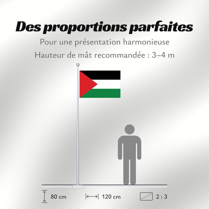 Proportions du drapeau : Palestine	State of Palestine	L’État de Palestine	Estado de Palestina	Palästina	Palestina	علم فلسطين	ফিলিস্তিনের পতাকা	Palestino	Dari Negara Palestina	Флаг Государства Палестина