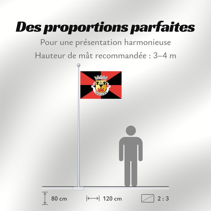 Proportions du drapeau : Beja