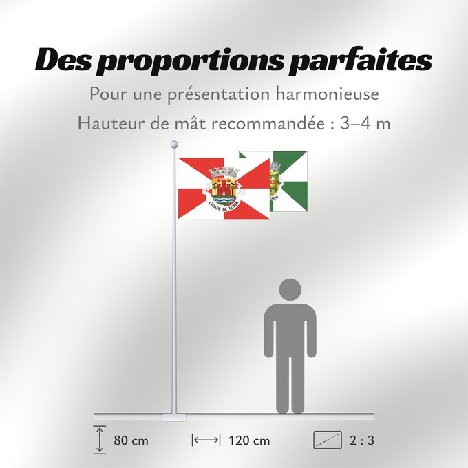 Proportions du drapeau : Leiria