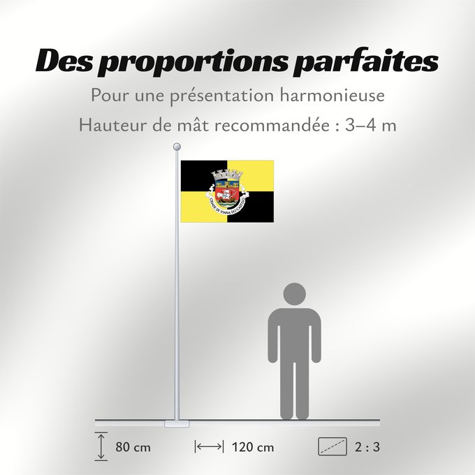 Proportions du drapeau : Viana do Castelo