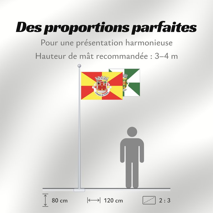 Proportions du drapeau : Viseu