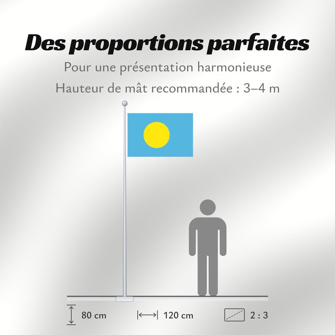 Proportions du drapeau : Palau	Palau, made by User Gabbe	 Palaos	Palaos	パラオの国旗	Palaua	​帕勞國旗