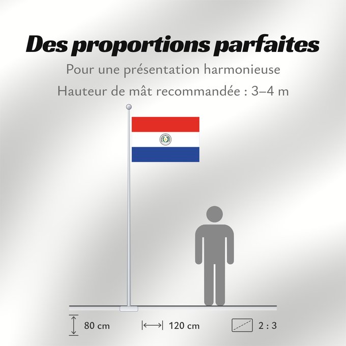 Proportions du drapeau : Paraguay Paraguay obverse علم باراغواي پرچم پاراگوئه روی پرچم Флаг Парагвая