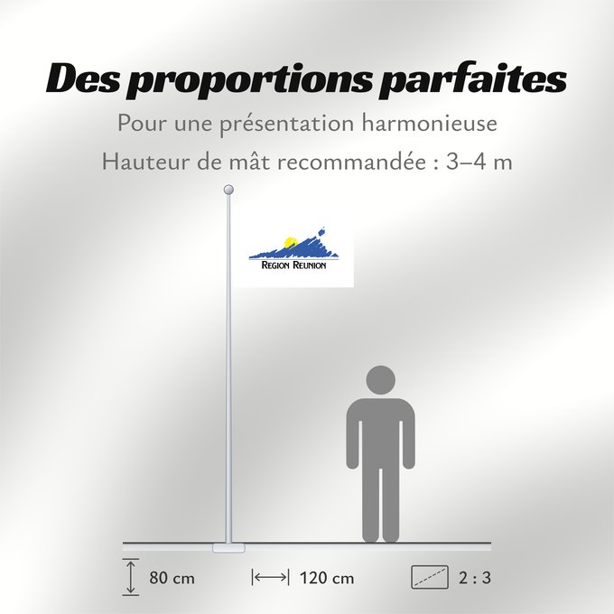 Proportions du drapeau : Réunion
