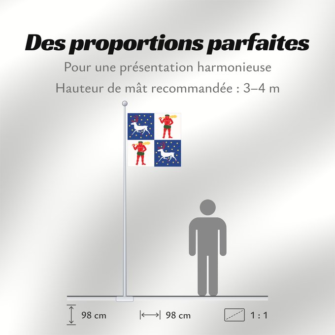 Proportions du drapeau : Norrbottens län vapenflagga Norrbotten County in Sweden Norrbotten Norrbottens läns vapenflagga