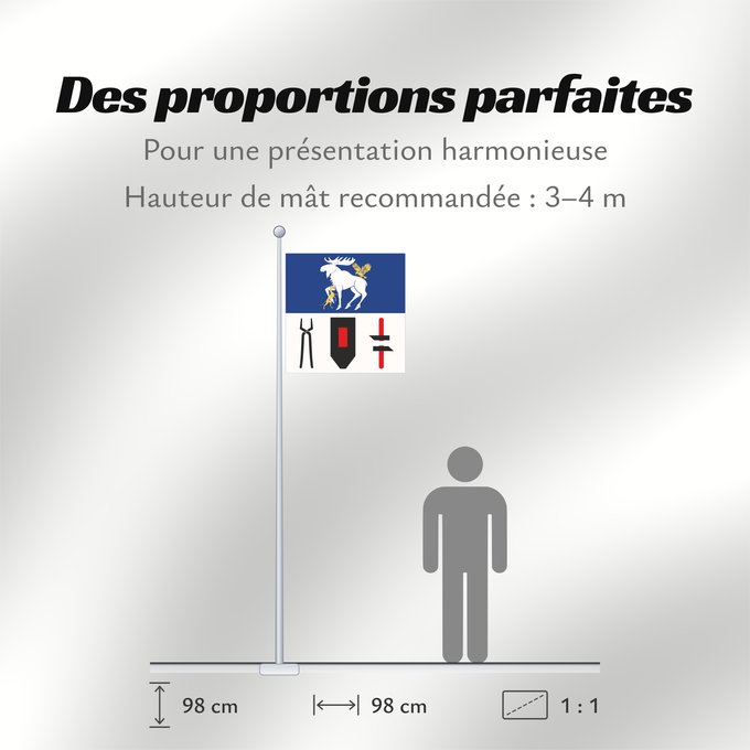 Proportions du drapeau : Jämtlands län