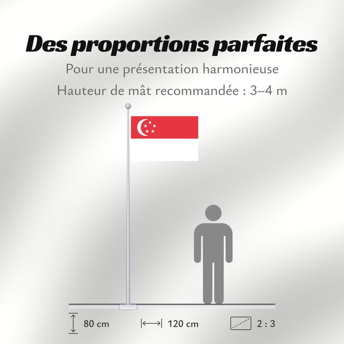 Proportions du drapeau : Singapore Singapour Singapur Singapuru علم سنغافورة Singapuro Singapura Флаг Сингапура Singapurja சிங்கப்பூரி்ன் கொடி 新加坡国旗