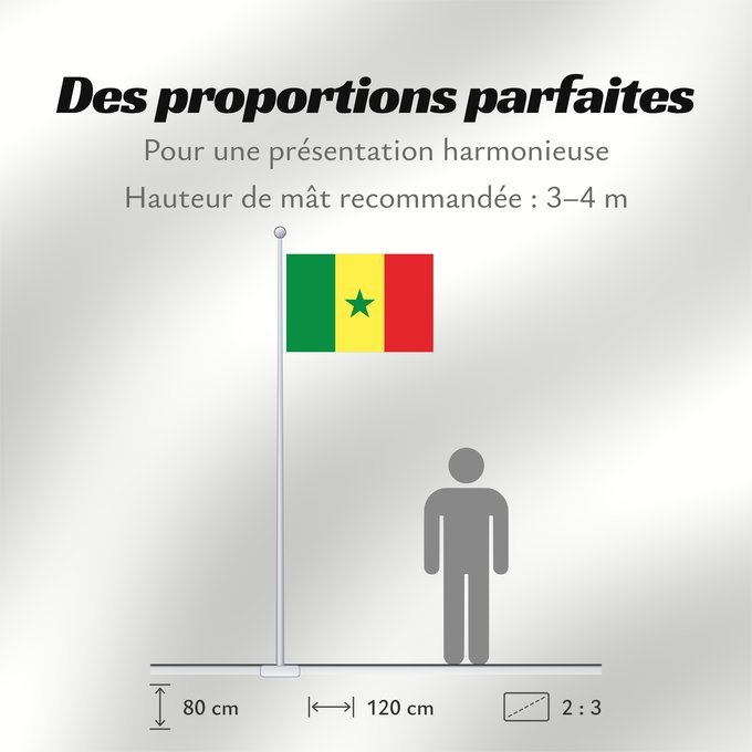 Proportions du drapeau : Senegal Sénégal Senegalo پرچم سنگال Senegala