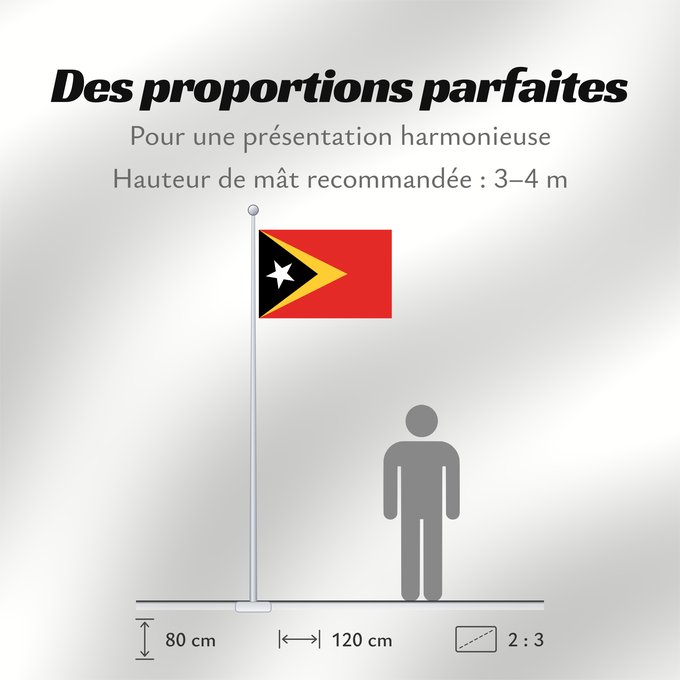 Proportions du drapeau : East Timor	Timor-Leste  East Timor	Timor oriental	Timor Oriental	Osttimor	Timor Est	Timor-Leste  Oost-Timor	Timor-Leste	علم تيمور الشرقية	তিমুর লেস্তের জাতীয় পতাকা	Timor Leste	Флаг Восточного Тимора	Östtimors	Timór Lorosa e nian