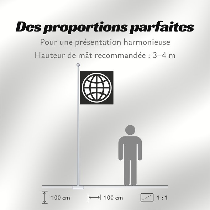 Proportions du drapeau : The World Bank Group