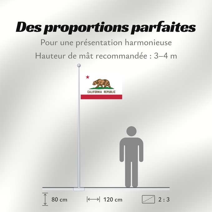Proportions du drapeau : California Californie Kalifornien Californië ᎠᏕᎳᏧᏢᎢ ᎦᏓᏘ Ka hae Kaleponi דגל מדינת קליפורניה Californiae Ahééháshį́į́h Hahoodzo bidah naatʼaʼí Флаг Калифорнии Američke savezne države Kalifornije ⴰⵙⴻⵏⵢⴰⵍ ⵏ ⴽⴰⵍⵉⴼⵓⵕⵏⵢⴰ