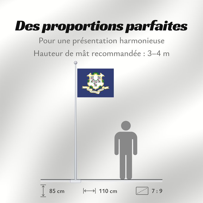 Proportions du drapeau : Connecticut	ᎧᏁᏓᎦᏗ ᎦᏓᏘ	Ka hae Konekikuka	Connecticutae	Kanédiki  hahoodzo bidah naatʼaʼí	Флаг Коннектикута	Američke savezne države Konektikat