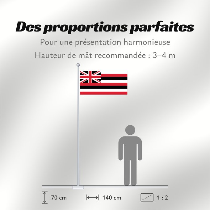 Proportions du drapeau : Hawaii	D Hawaï	Hawái	Banniel Hawaii	ᎭᏩᏱ ᎦᏓᏘ	Ka hae Hawaiʻi	夏哇夷 州의 旗 / 하와이 주의 기	Havaii	Hawáai Hahoodzo bidah naatʼaʼí	Флаг Гавайев	Američke savezne države Havaji