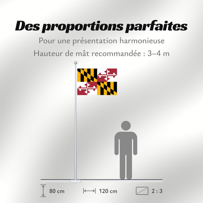 Proportions du drapeau : Maryland Stanowa Marylandu ᎺᎵᏂ ᎦᏓᏘ Ka hae Melelana Terræ Mariæ Méelin Hahoodzo bidah naatʼaʼí Флаг Мэриленда Američke savezne države Maryland
