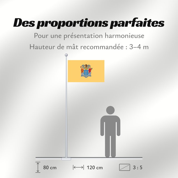 Proportions du drapeau : New Jersey	'État du New Jersey	Nueva Jersey
