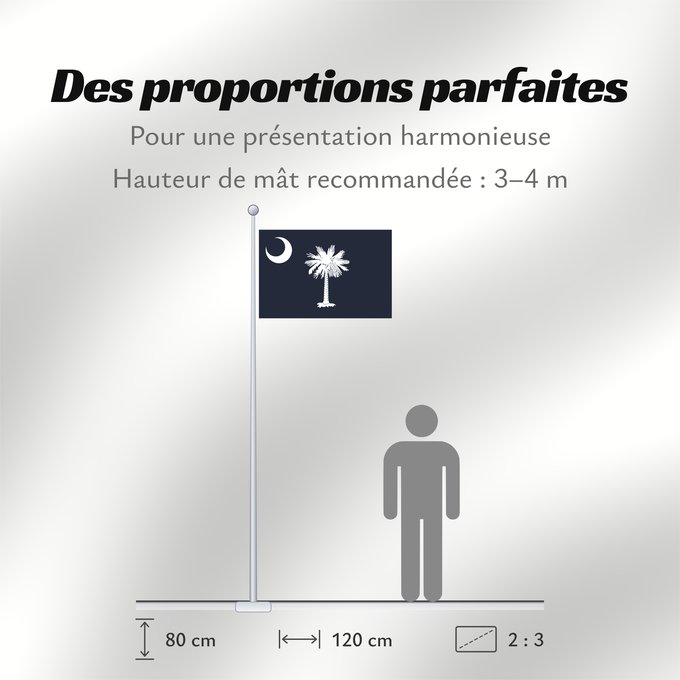 Proportions du drapeau : South Carolina Caroline du Sud Carolina del Sur Carolina del Sud علم كارولاينا الجنوبية ᏐᎦᎴᏂ ᎦᏓᏘ Ka hae Kalolaina Hema Carolinae Meridionalis Shádiʼááhjí Kééláanah Hahoodzo bidah naatʼaʼí Флаг Южной Каролины Američke savezne države Južne Karoline
