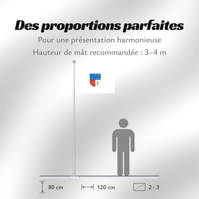 Proportions du drapeau : Colonia Department	Colonia	 département de Colonia 