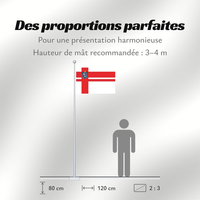 Proportions du drapeau : Florida Department	Florida