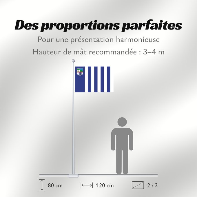 Proportions du drapeau : Rivera Department	Rivera