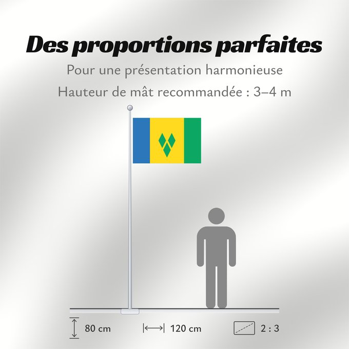 Proportions du drapeau : Saint Vincent and the Grenadines	Saint-Vincent-et-les Grenadines	San Vicente y las Granadinas	St. Vincent und die Grenadinen	Saint Vincent e Grenadine	Флаг Сент-Винсента и Гренадин	Saint Vincenta in Grenadin