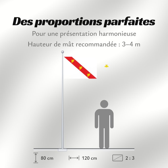 Proportions du drapeau : Elba Elba (Napoleonic) Elbe (Napoléonienne) Elba (Napoleónica) Elba (Napoleonisch) Napoleonica dell Isola d Elba