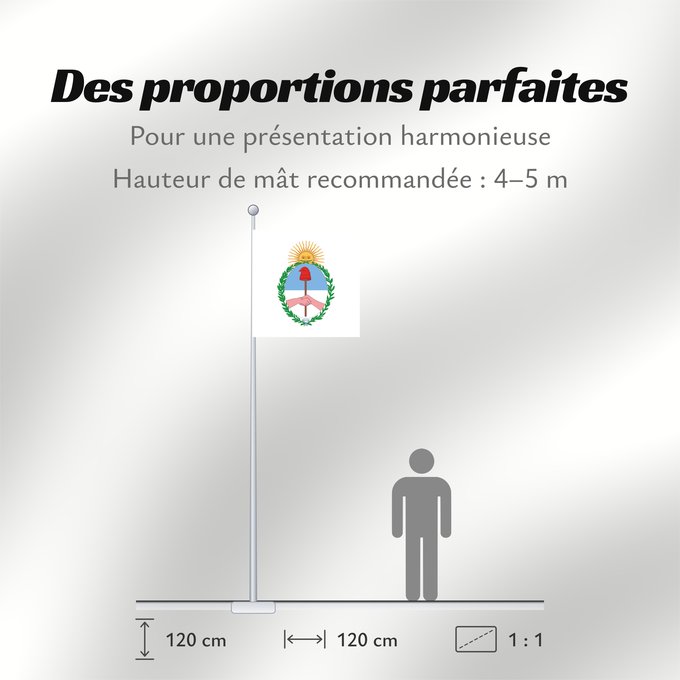 Proportions du drapeau : Provincia de Jujuy	Jujuy Province	province de Jujuy	Jujuy (Provinz)	Provincia di Jujuy