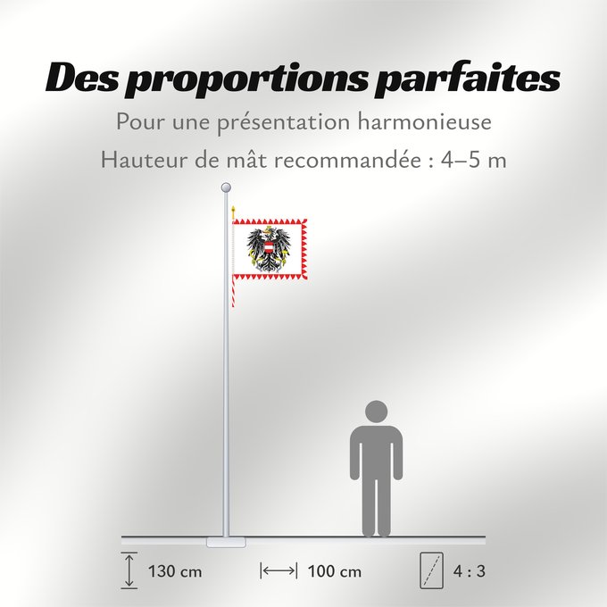 Proportions du drapeau : Feldzeichen Bundesheer