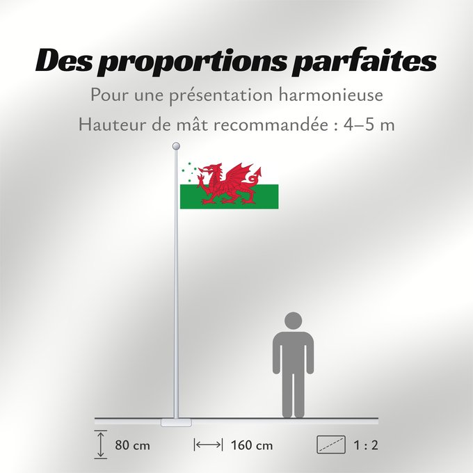 Proportions du drapeau : Australian Welsh heritage