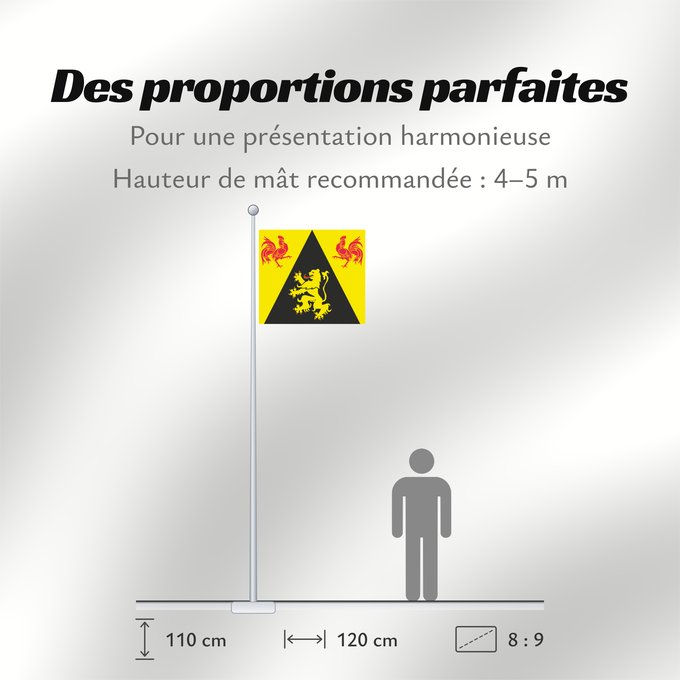 Proportions du drapeau : Province BE Brabant Wallon Walloon Brabant Brabant wallon Brabante Valón Wallonien Brabant Brabante Vallone