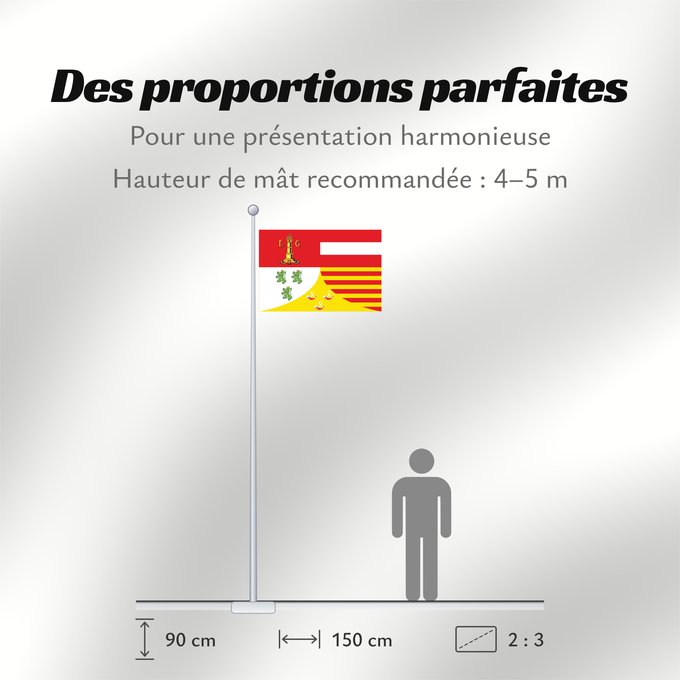 Proportions du drapeau : Liège (fr)