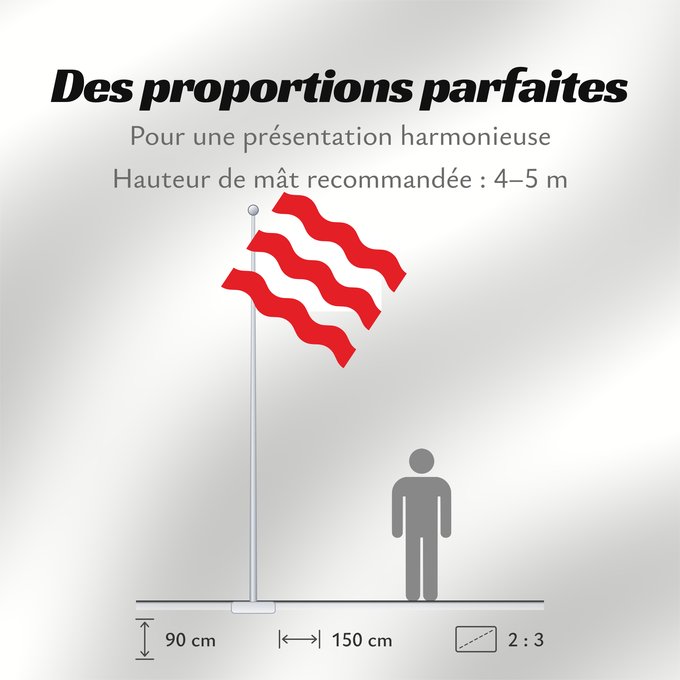Proportions du drapeau : Antoing	Municipal flag of Antoing, Belgium