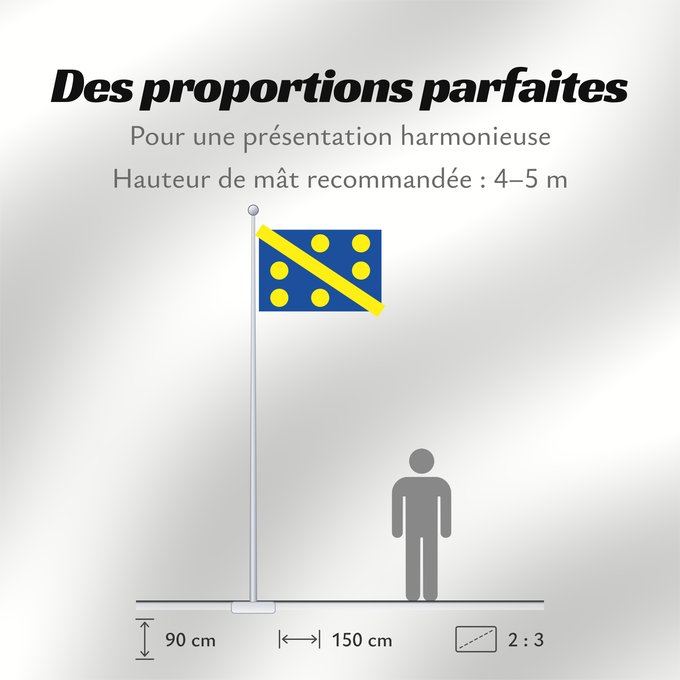 Proportions du drapeau : Assesse	Municipal flag of Assesse, Belgium