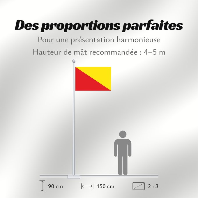Proportions du drapeau : Belœil	Belgian commune of Belœil