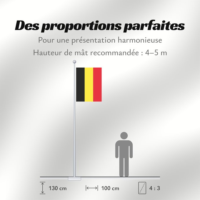Proportions du drapeau : Belgium at the Royal palaces	Belgique aux Palais Royaux	Bélgica en los Palacios Reales	Belgien bei den Königspalästen	Belgio ai Palazzi Reali