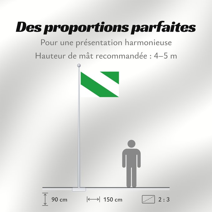 Proportions du drapeau : Evere Belgian municipality Evere