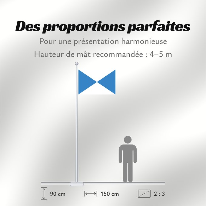 Proportions du drapeau : Halle