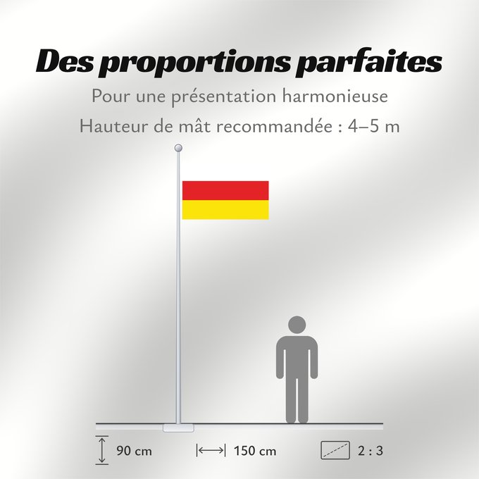 Proportions du drapeau : Riemst	Belgian municipality Riemst	Belgischen Gemeinde Riemst