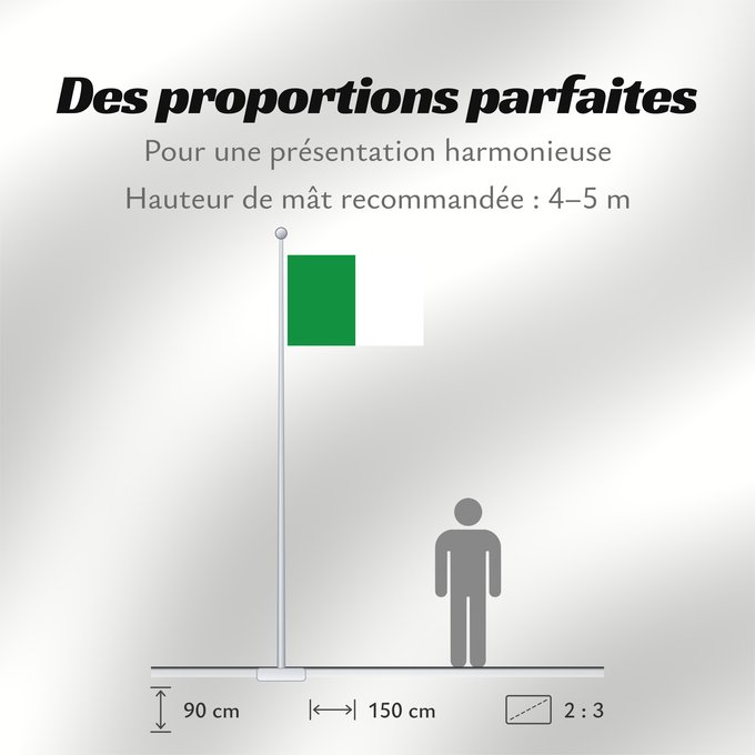 Proportions du drapeau : Vorst	Belgian municipality Vorst  French Forest	Gemeente Vorst