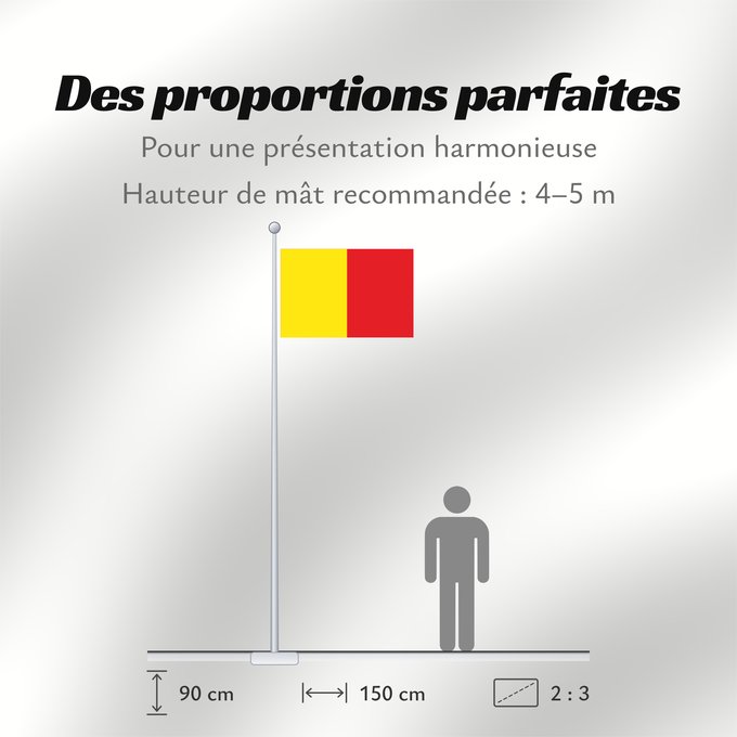 Proportions du drapeau : Wervik	Belgian municipality Wervik	Stad Wervik