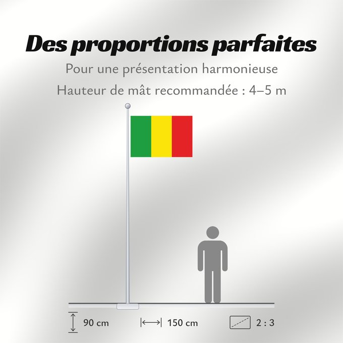 Proportions du drapeau : Zele	Belgian city and municipality Zele	Gemeente Zele